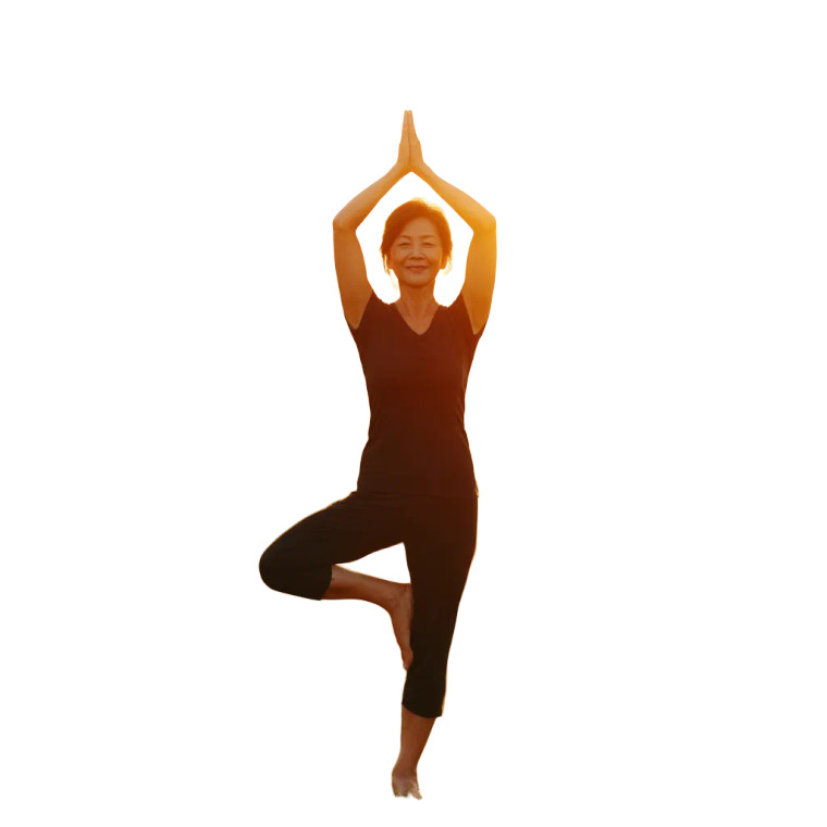 Yoga Tree Pose V2 Vinyl Car Decal Sticker – Waterproof & UV-Resistant 8"