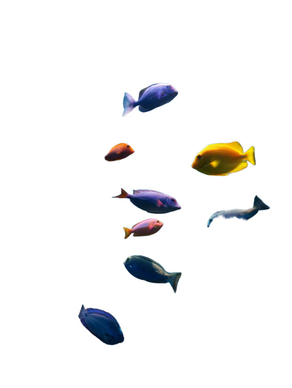 Vibrant Aquarium Scene Vinyl Car Decal Sticker – Waterproof & UV-Resistant 8"