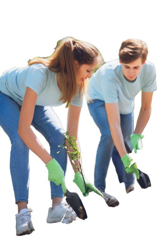 Planting Trees V2 Vinyl Car Decal Sticker – Waterproof & UV-Resistant 8"