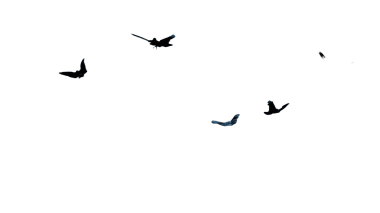 Heavenly Angels V2 Vinyl Car Decal Sticker – Waterproof & UV-Resistant 8"