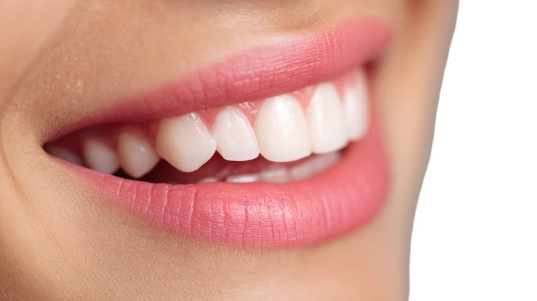 Healthy Dental Gums Vinyl Car Decal Sticker – Waterproof & UV-Resistant 8"