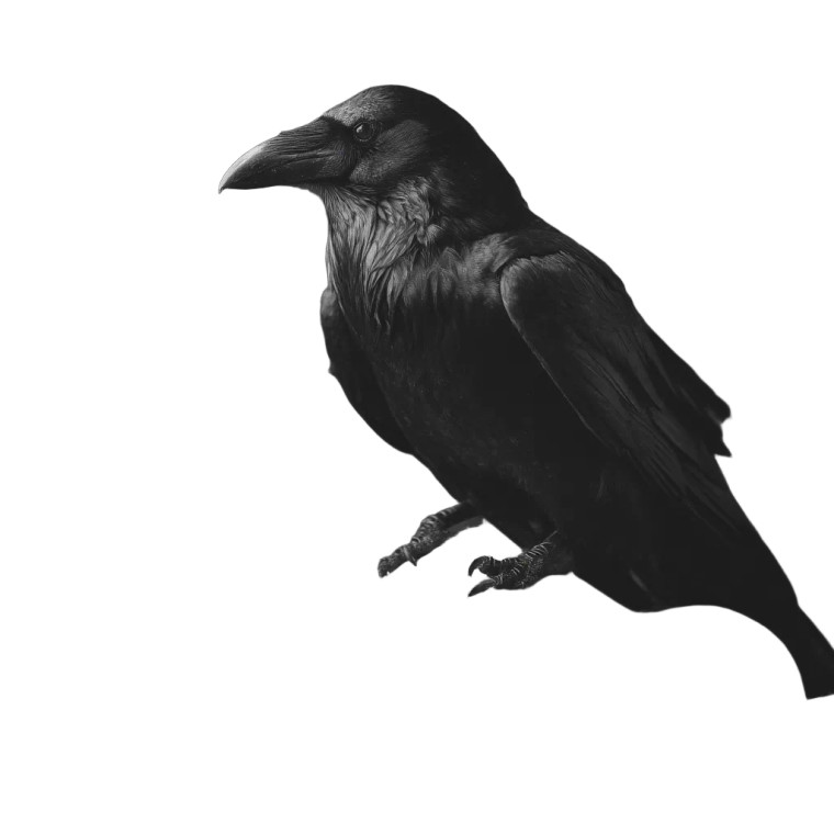 Gothic Crow Scene Vinyl Car Decal Sticker – Waterproof & UV-Resistant 8"