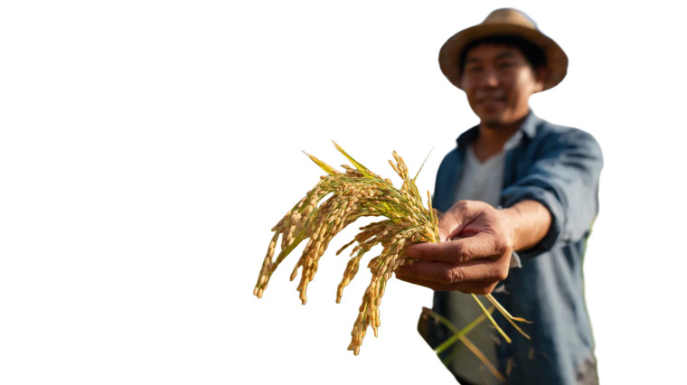 Harvest Joy Vinyl Car Decal Sticker – Waterproof & UV-Resistant 8"