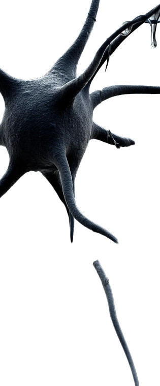 Neurons Hyper-Realism Vinyl Car Decal Sticker – Waterproof & UV-Resistant 8"