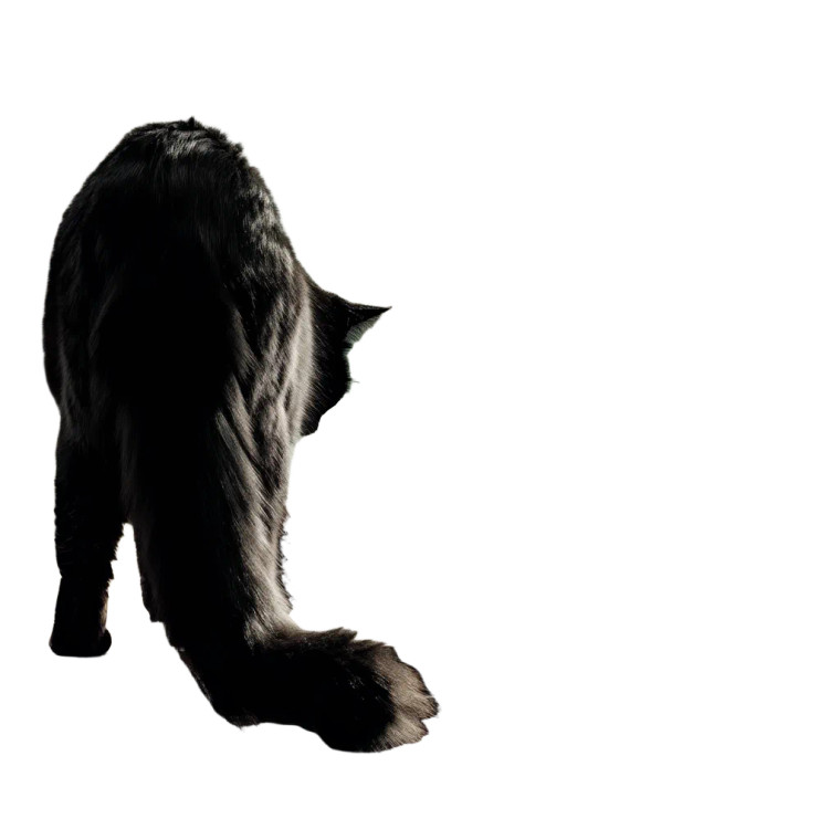 Black Cat Moonlight Vinyl Car Decal Sticker – Waterproof & UV-Resistant 8"