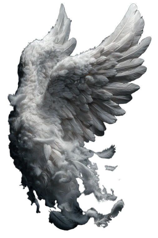 Angel Wings V7 Vinyl Car Decal Sticker – Waterproof & UV-Resistant 8"