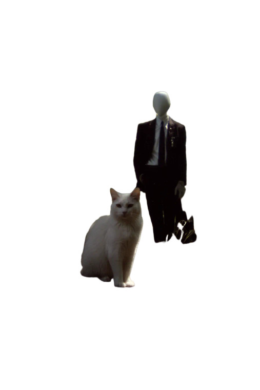 Unfazed Cat Companion Vinyl Car Decal Sticker – Waterproof & UV-Resistant 8"
