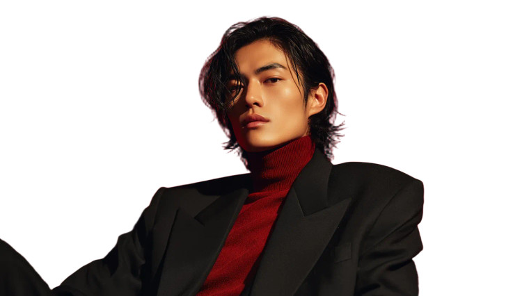 Stylish Asian Model V2 Vinyl Car Decal Sticker – Waterproof & UV-Resistant 8"