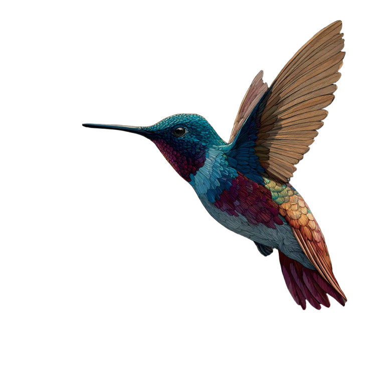 Colorful Hummingbird Flight V2 Vinyl Car Decal Sticker – Waterproof & UV-Resistant 8"
