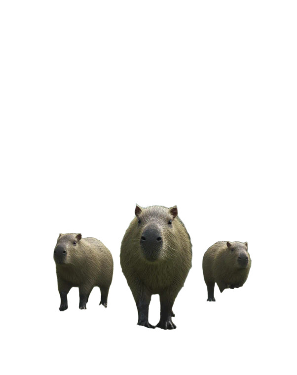 Capybaras Among Dinosaurs Vinyl Car Decal Sticker – Waterproof & UV-Resistant 8"