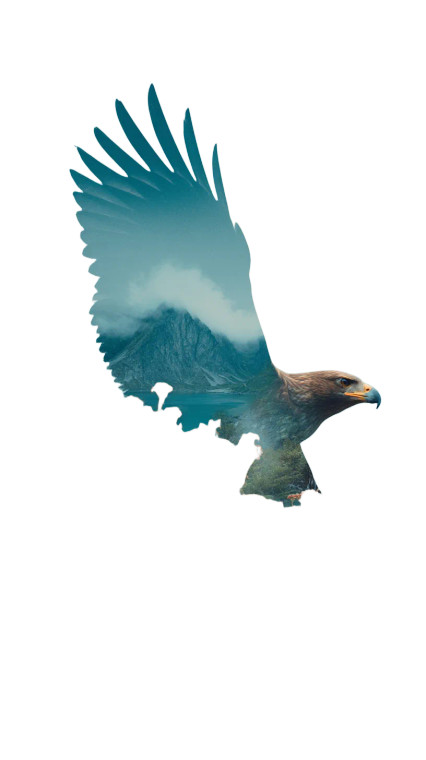 Majestic Eagle Silhouette V3 Vinyl Car Decal Sticker – Waterproof & UV-Resistant 8"