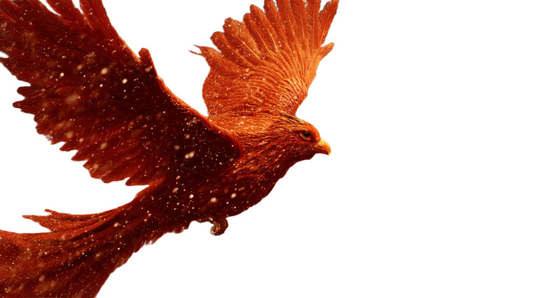 Firebird In Flight Vinyl Car Decal Sticker – Waterproof & UV-Resistant 8"