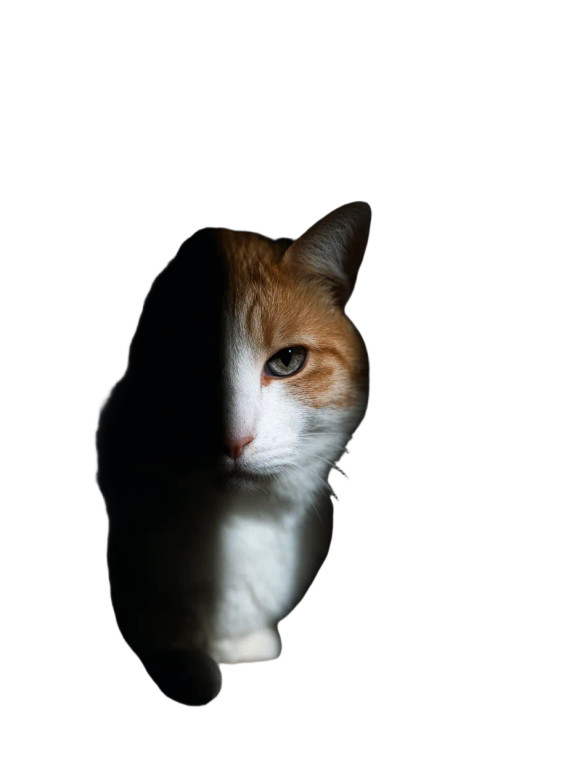 Dramatic Cat Portrait V5 Vinyl Car Decal Sticker – Waterproof & UV-Resistant 8"