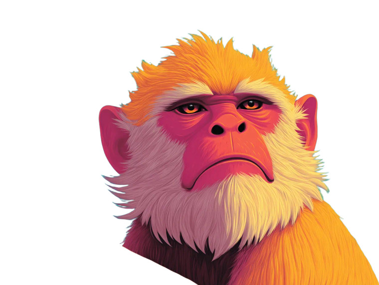 Monkey V2 Vinyl Car Decal Sticker – Waterproof & UV-Resistant 8"