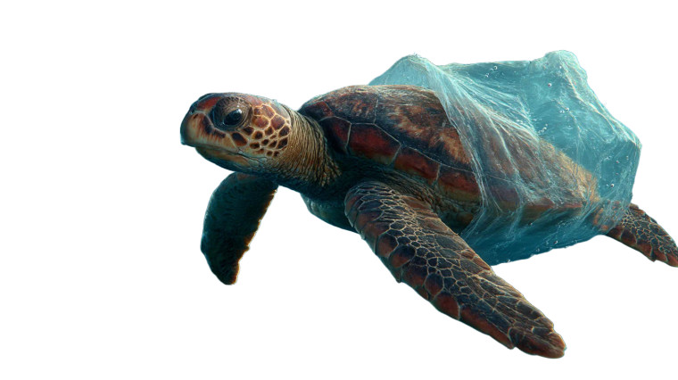 Sea Turtle Pollution Vinyl Car Decal Sticker – Waterproof & UV-Resistant 8"