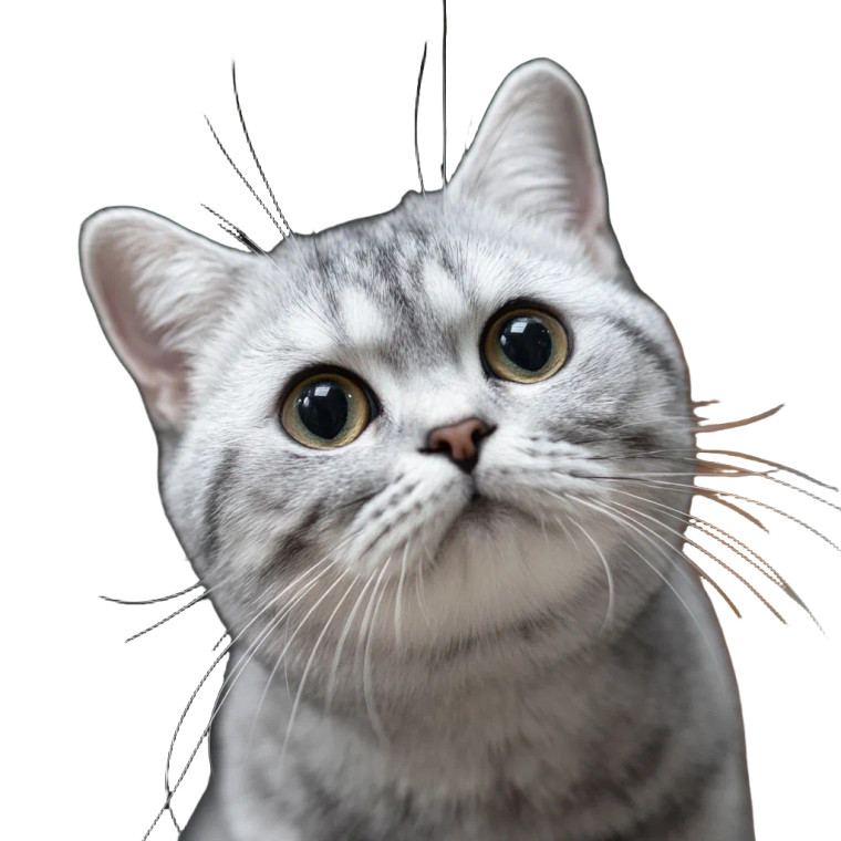 Korean Short Hair Vinyl Car Decal Sticker – Waterproof & UV-Resistant 8"