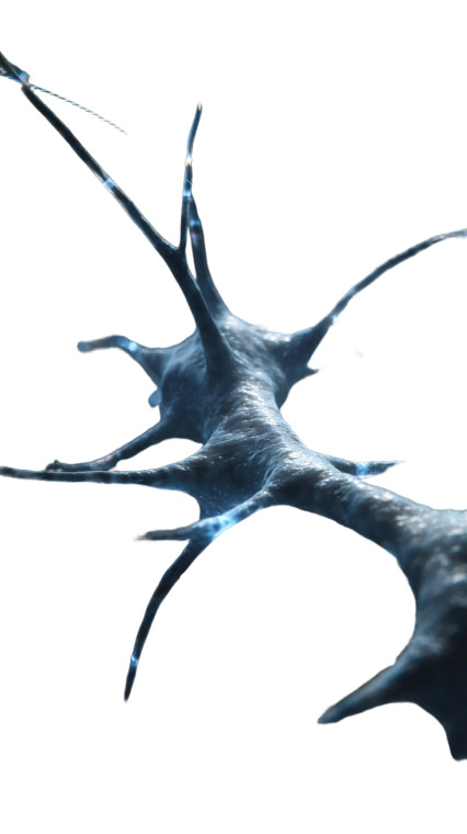 Glowing Neural Pathways Vinyl Car Decal Sticker – Waterproof & UV-Resistant 8"