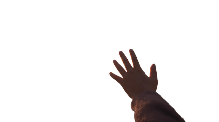 Reaching For Light V5 Vinyl Car Decal Sticker – Waterproof & UV-Resistant 8"