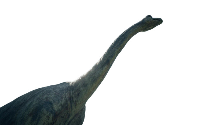 Brachiosaurus In Forest Vinyl Car Decal Sticker – Waterproof & UV-Resistant 8"