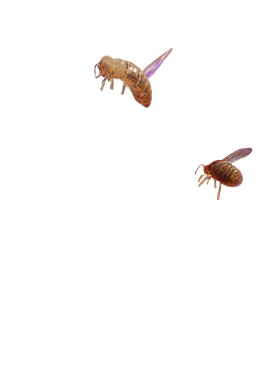 Cybernetic Beehive Vinyl Car Decal Sticker – Waterproof & UV-Resistant 8"