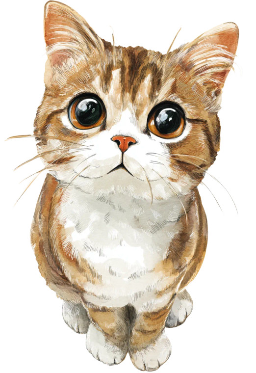 Cute Cat Sticker V3 Vinyl Car Decal Sticker – Waterproof & UV-Resistant 8"