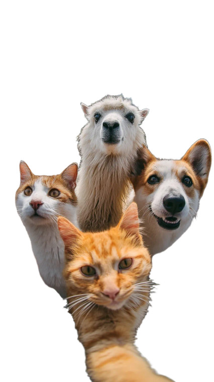 Animal Group Photo Vinyl Car Decal Sticker – Waterproof & UV-Resistant 8"