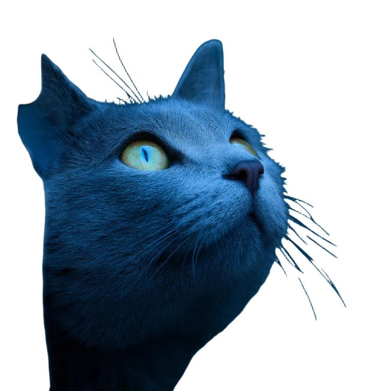 Blue Cat V4 Vinyl Car Decal Sticker – Waterproof & UV-Resistant 8"
