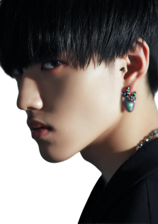 Handsome Japanese Man V4 Vinyl Car Decal Sticker – Waterproof & UV-Resistant 8"