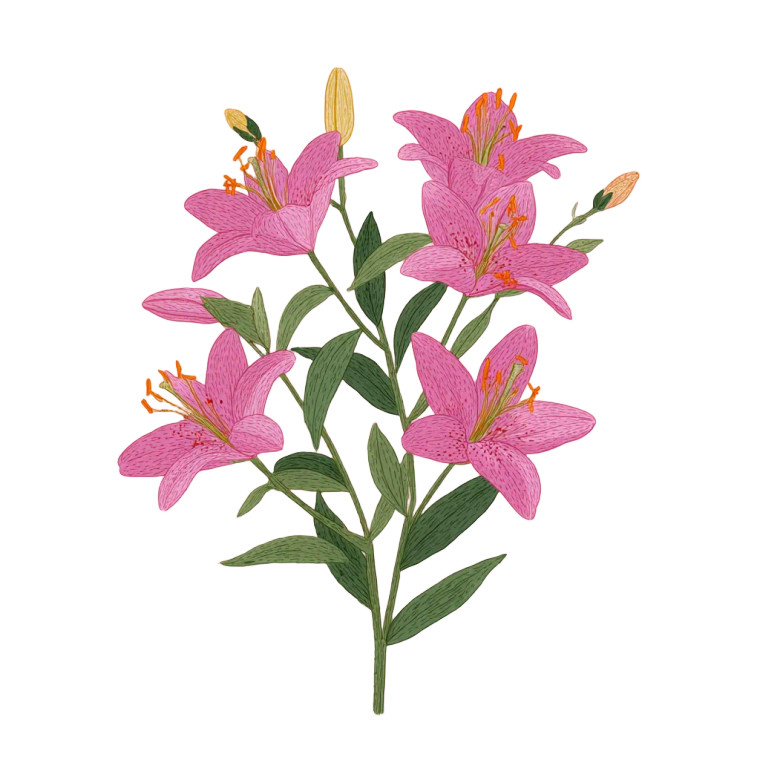 Pink Lilies Vinyl Car Decal Sticker – Waterproof & UV-Resistant 8"