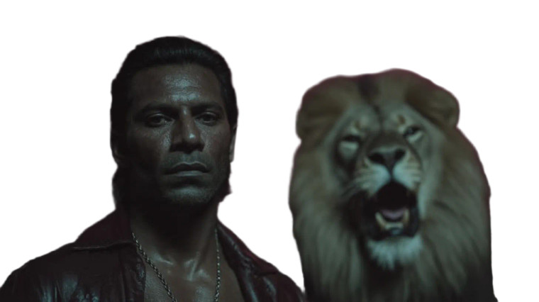 Lion Tamer Spotlight Vinyl Car Decal Sticker – Waterproof & UV-Resistant 