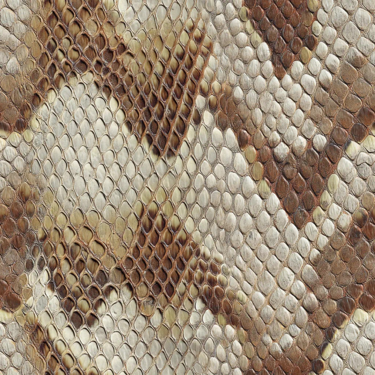 Snake Skin Vinyl Car Decal Sticker – Waterproof & UV-Resistant 8"
