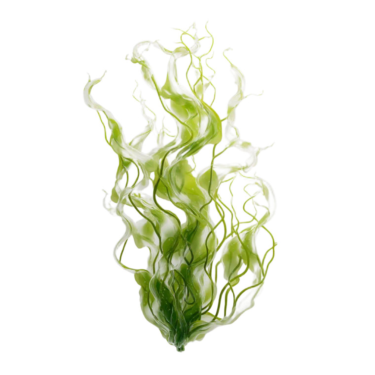 Green Slimy Algae Vinyl Car Decal Sticker – Waterproof & UV-Resistant 8"