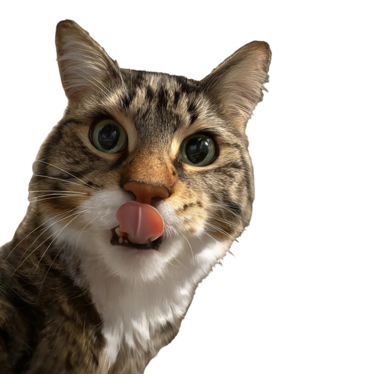 Selfie Cat V3 Vinyl Car Decal Sticker – Waterproof & UV-Resistant 8" Selfie Cat V3 Vinyl Car Decal Sticker – Waterproof & UV-Resistant 8"