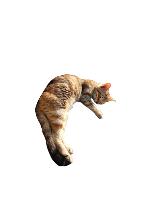 Sleeping Cat Peril Vinyl Car Decal Sticker – Waterproof & UV-Resistant 8"