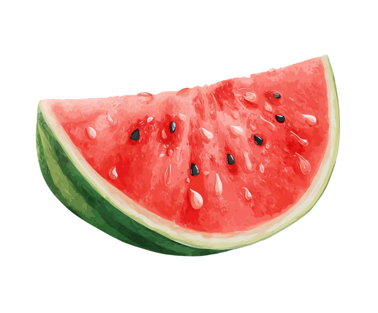 Watermelon Slice V2 Vinyl Car Decal Sticker – Waterproof & UV-Resistant 8"