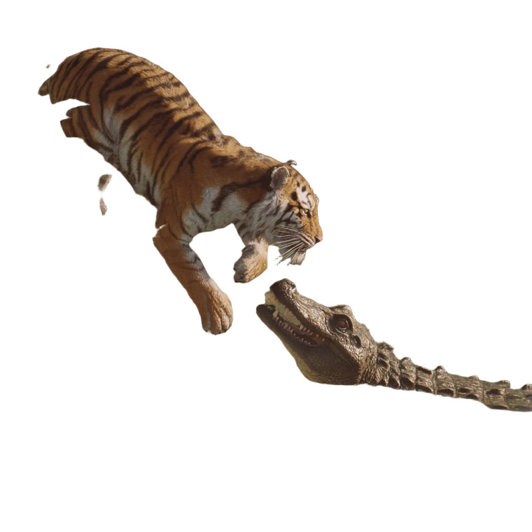 Tiger Vs Alligator Vinyl Car Decal Sticker – Waterproof & UV-Resistant 8"