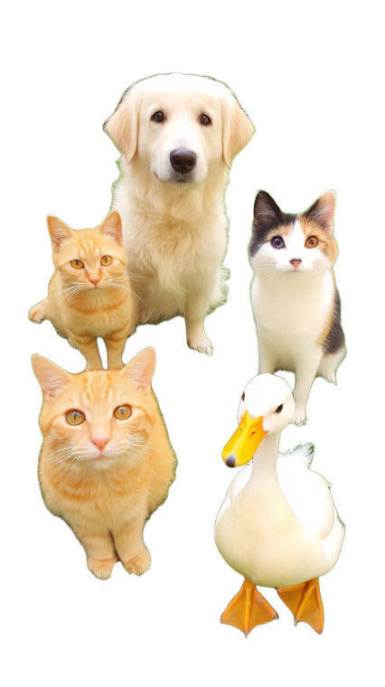 Garden Animal Gathering Vinyl Car Decal Sticker – Waterproof & UV-Resistant 8"