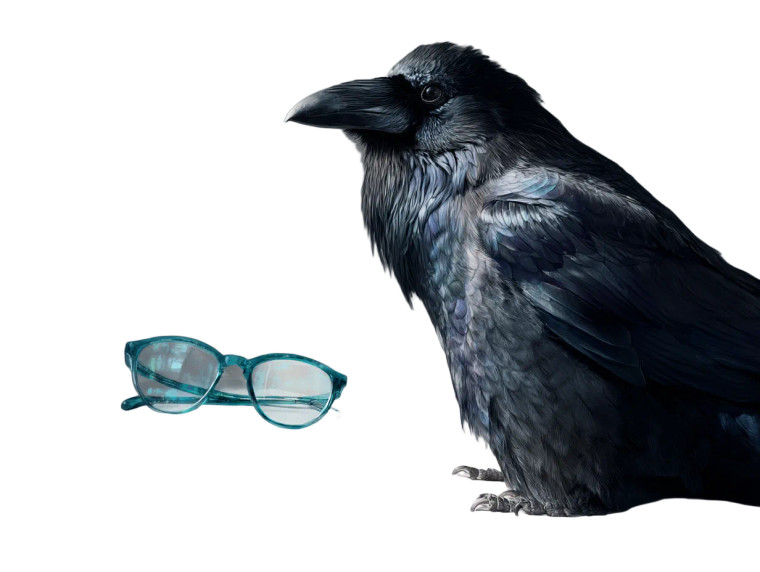 Realistic Black Raven Vinyl Car Decal Sticker – Waterproof & UV-Resistant 8"