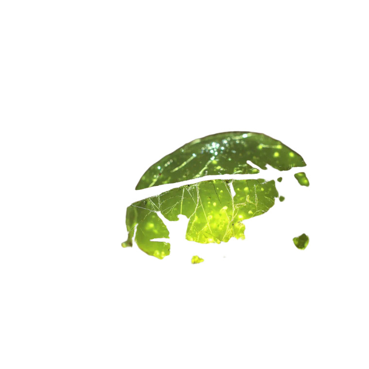 Vibrant Green Slime Vinyl Car Decal Sticker – Waterproof & UV-Resistant 8"