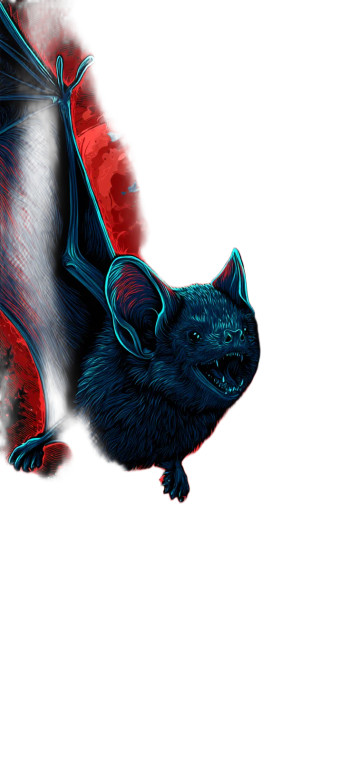 Bat V3 Vinyl Car Decal Sticker – Waterproof & UV-Resistant 8"