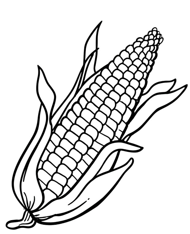 Corn Coloring Page Vinyl Car Decal Sticker – Waterproof & UV-Resistant 8"