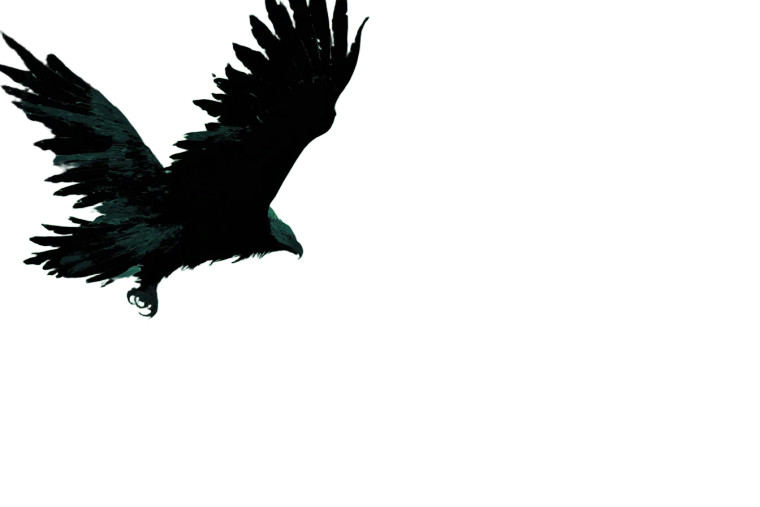 Hippogriff In Flight Vinyl Car Decal Sticker – Waterproof & UV-Resistant 8"