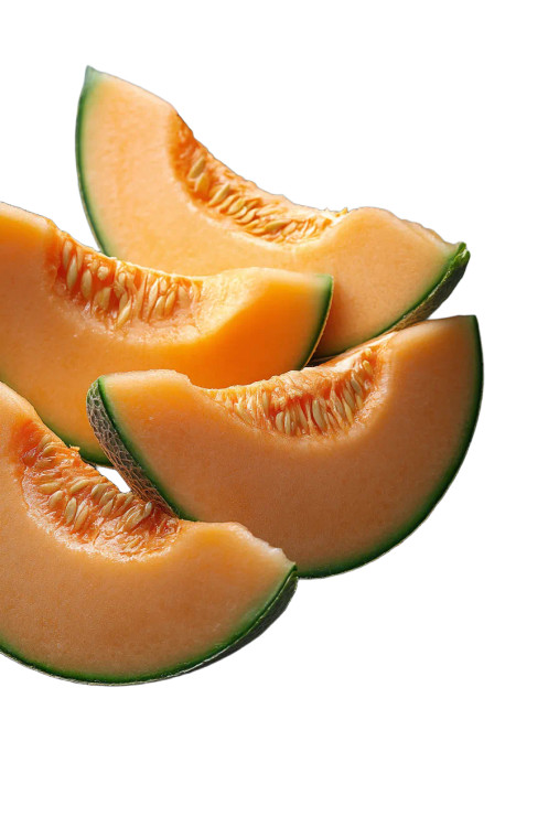 Fresh Cantaloupe Slice Vinyl Car Decal Sticker – Waterproof & UV-Resistant 8"
