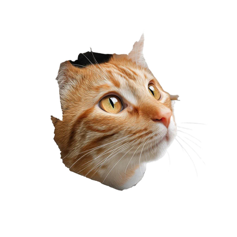 Orange Cat Peeking Vinyl Car Decal Sticker – Waterproof & UV-Resistant 8"