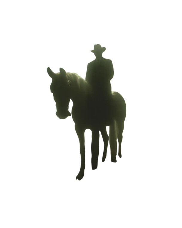 Chrome Horse Diplomat Vinyl Car Decal Sticker – Waterproof & UV-Resistant 8"