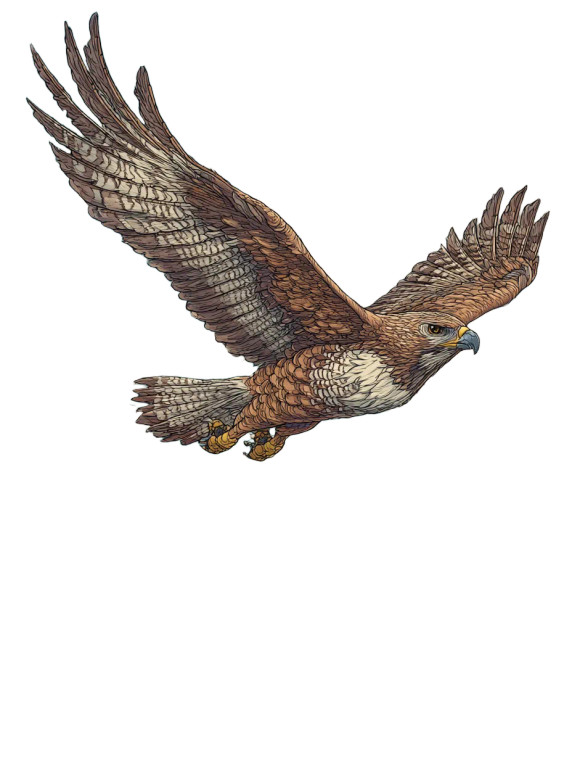 Fantasy Rpg Eagle Vinyl Car Decal Sticker – Waterproof & UV-Resistant 8"