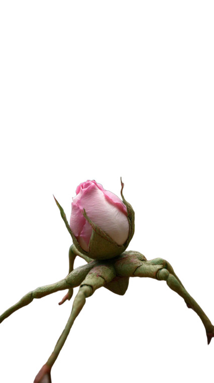 Crawling Rose Bud Vinyl Car Decal Sticker – Waterproof & UV-Resistant 8"