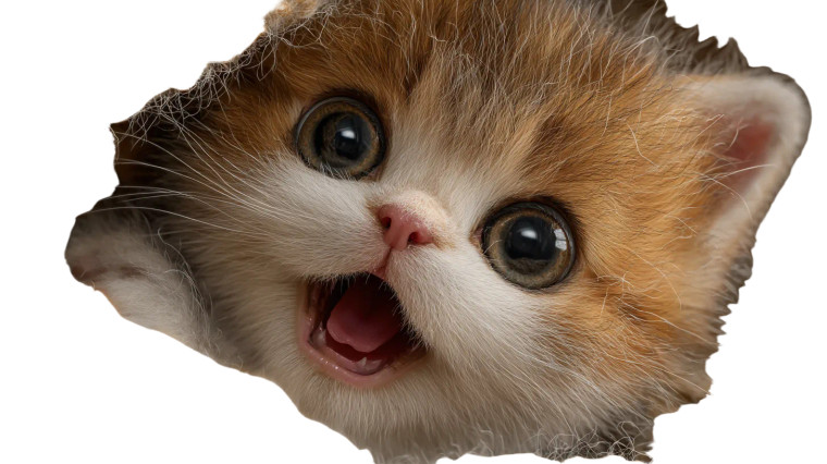 Kitten In Bee Hive Vinyl Car Decal Sticker – Waterproof & UV-Resistant 8"