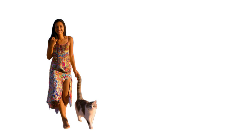 Boho-Chic Wanderer Vinyl Car Decal Sticker – Waterproof & UV-Resistant 8"