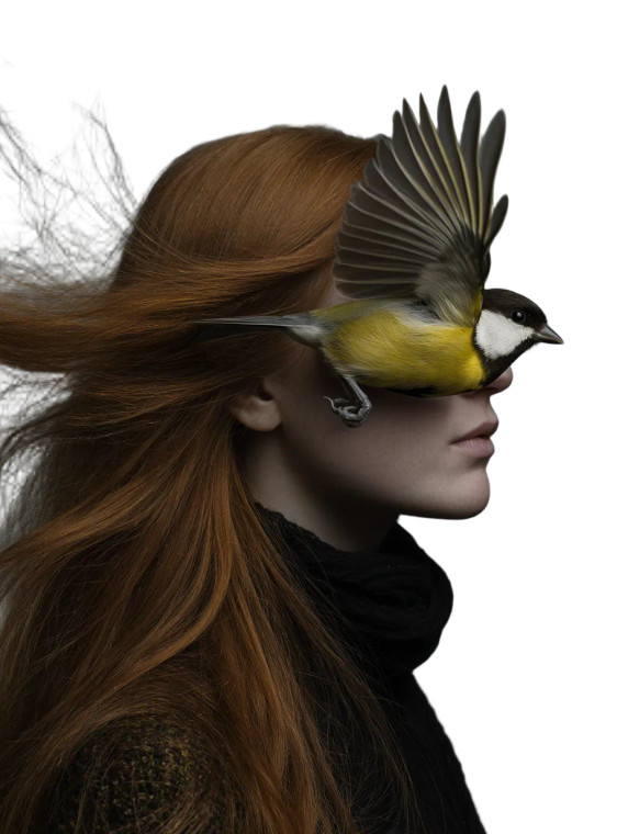 Redhead With Titmouse Vinyl Car Decal Sticker – Waterproof & UV-Resistant 8"